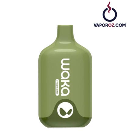 Waka Smash 6000 - Fresh Mint