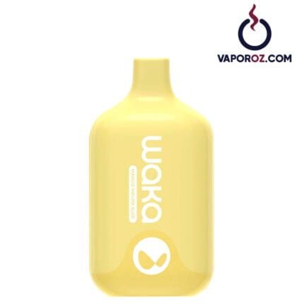 Waka Smash 6000 - Mango Melon Aloe